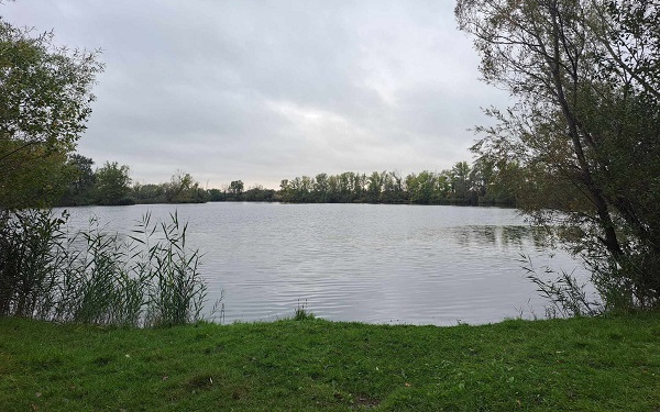 Európai Madármegfigyelő Napok a Kisalföldön