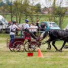 Kombinált fogathajtó verseny Bágyogszováton