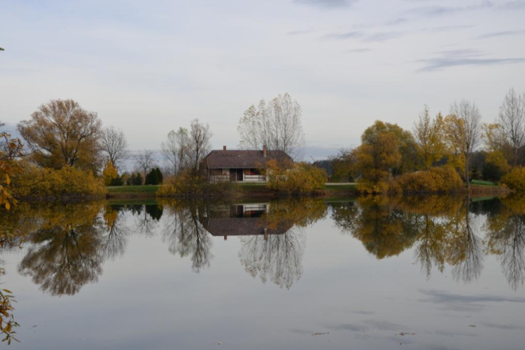 Szanyi ősz.