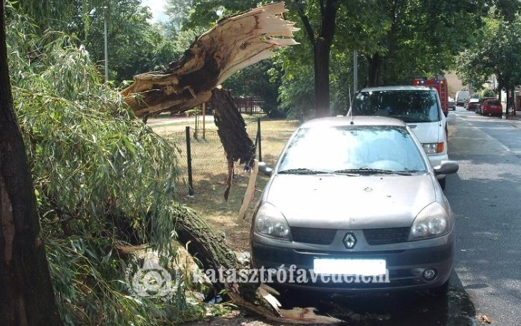 A viharos szél fákat döntött, 15 helyszínre vonultak a tűzoltók