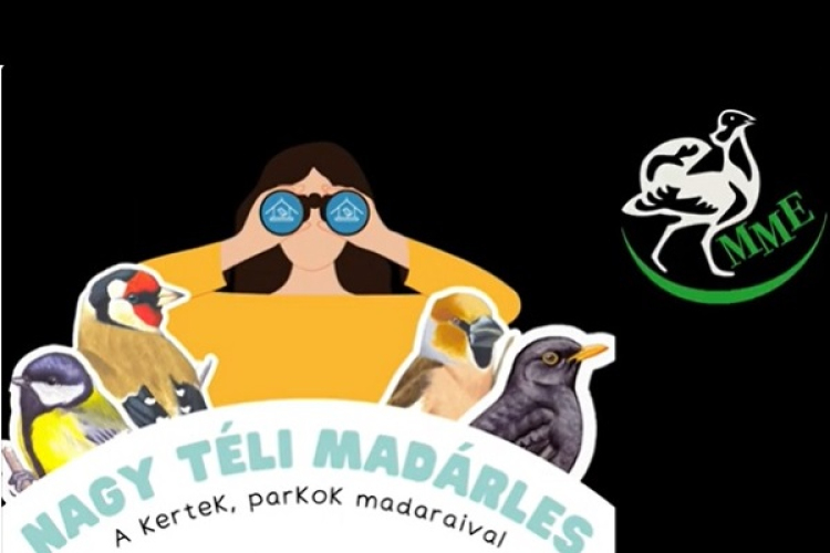 Elindult a Nagy Téli Madárles