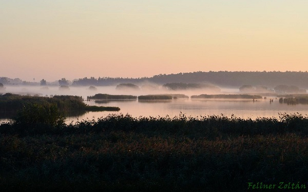 35 év – 35 történet a Fertő–Hanságról 