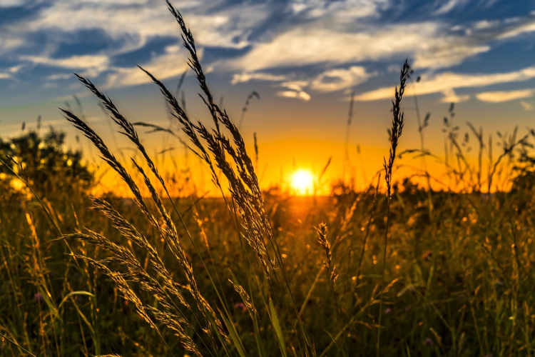 Napos, tavaszias idő várható az ünnepi hétvégén