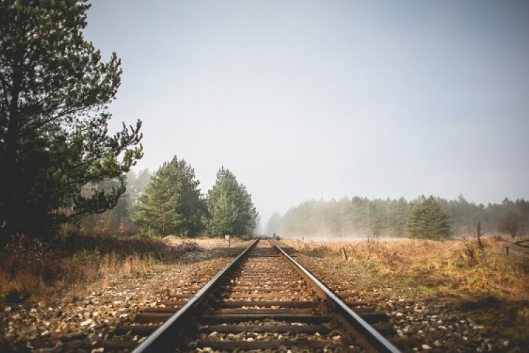 Vegyszeres gyomirtást végez hálózatán a GYSEV