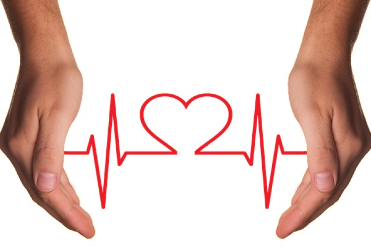 Egészségnap Beziben