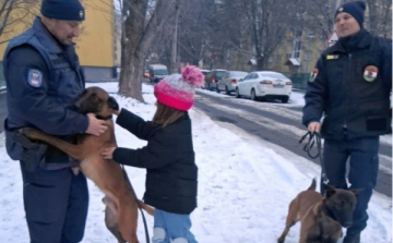 A hidegben fokozott felelősséggel tartozunk állatainkért