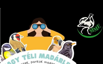 Elindult a Nagy Téli Madárles