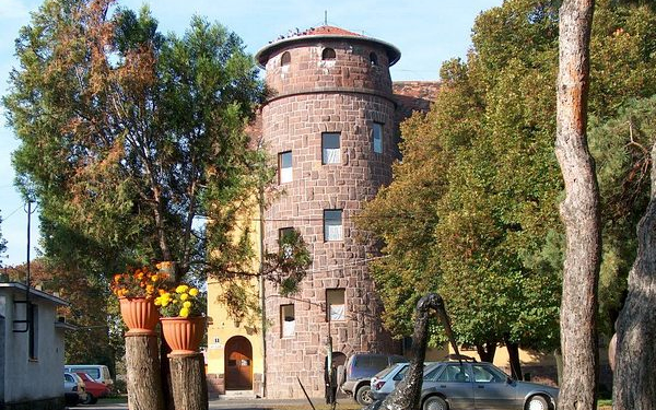 Csukás Zoltán Kollégium keres intézményvezetőt