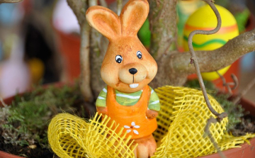 Nyuszifészek csokigyűjtés Csapodon