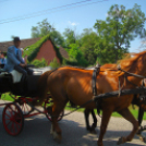 Lovastalálkozó Győrsövényházon