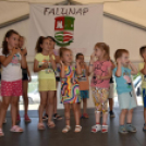Falulnap Árpáson.