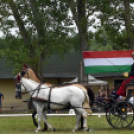 Árpási Fogathajtó Verseny