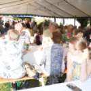 Pünkösdi piknik Rábasebesen. (2026. 05. 23.)
