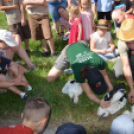 Gólya Fesztivál Szany, 2025. június 14.