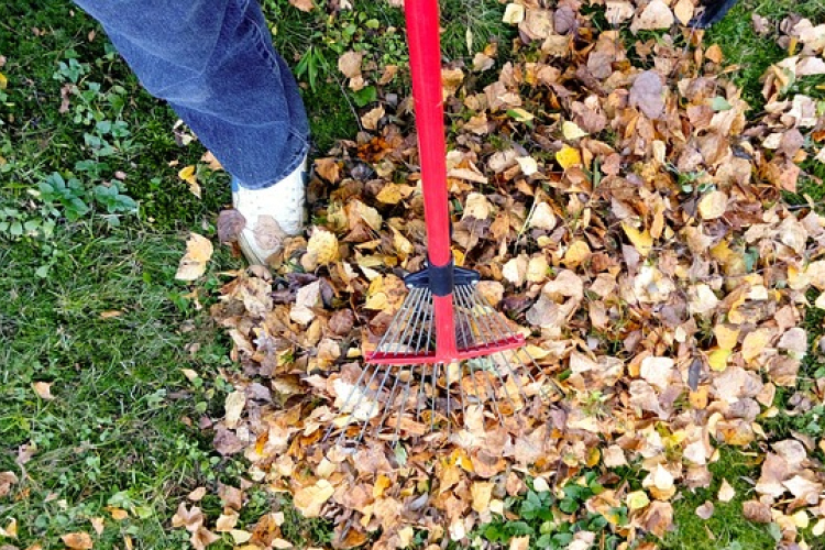 Zöldhulladék elhelyezés Osliban