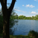 Szanyi körút fényképezőgéppel.