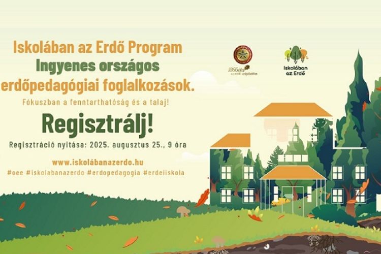 Iskolában az erdő