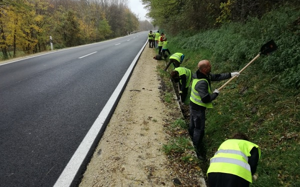 Önkéntesek tisztították meg a nemzeti park békaátjáróit