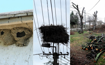 Időben végezzük el a természetvédelmi szempontból érzékeny munkákat!