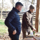 Disznó vágást és összetartást szervezett a Szany SE