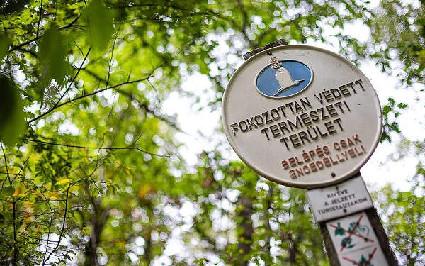 Erdővédelem Magyarországon