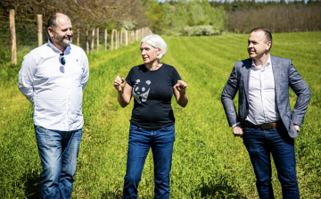 Amikor a mesterséges intelligencia segít a klímavédelemben Kate segítségével visszatér az élet a cecei erdőbe