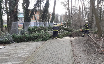 Kéménytűz Csornán, viharkárok a megyében, száznyolcvanhét eseményhez vonultak a tűzoltók