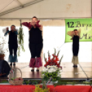 12.-ik Burgonyafesztivál Mórichidán. (2023. 07. 08.)