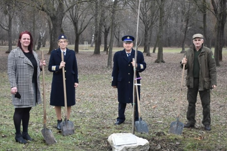 Csornán és Kapuváron is elültették az élet fáját