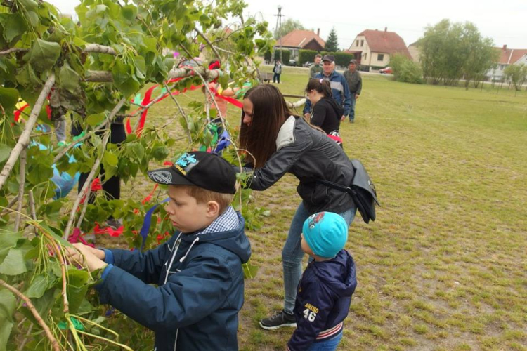 VII. Kónyi Bikafesztivál és majális