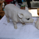 II. Falusi disznóvágás Szanyban.