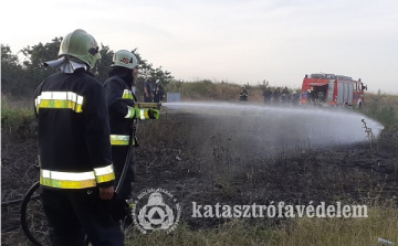 A klímaváltozás tüzesebbé teszi Magyarországot