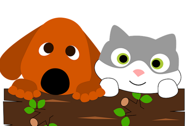 Barátaink az állatok