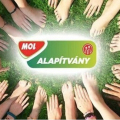 Faluszépítő társadalmi munka Rábapordányban