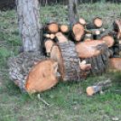 A Szanyi Horgásztó