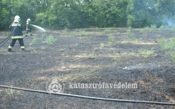 Egyre több munkát adnak a tűzoltóknak a szabadtéren gyulladó tüzek