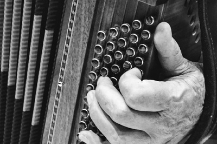 Jótékonysági harmonika koncert Farádon