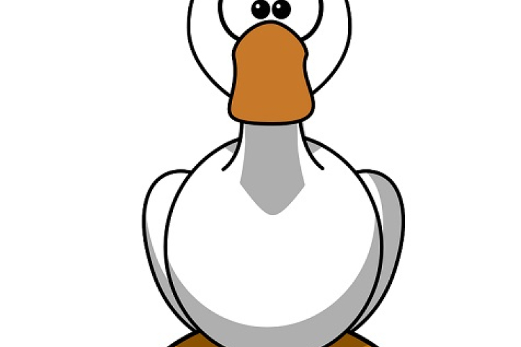 Márton napi bál Rábapordányban