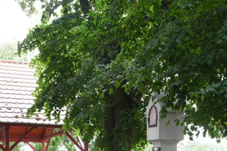 Szanyi búcsú vasárnap (2026. 07. 26.)  Szentmise a Szent Anna Kápolnánál.
