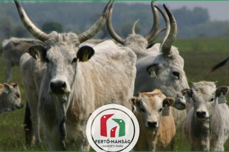 Határtalan kerékpártúra a 30 éves Fertő-Hanság Nemzeti Parkban