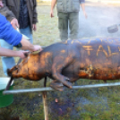 Hagyományőrző disznóölés Vásárosfalun