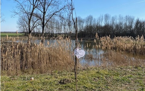 Tanösvénnyé bővül majd az óvoda fája