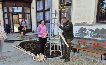 Fákat ültettek, és megkezdték az iskolaudvar rendbetételét Rábapordányban