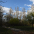 A Szanyi Horgásztó