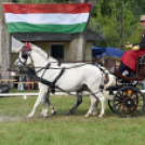 Árpási Fogathajtó Verseny