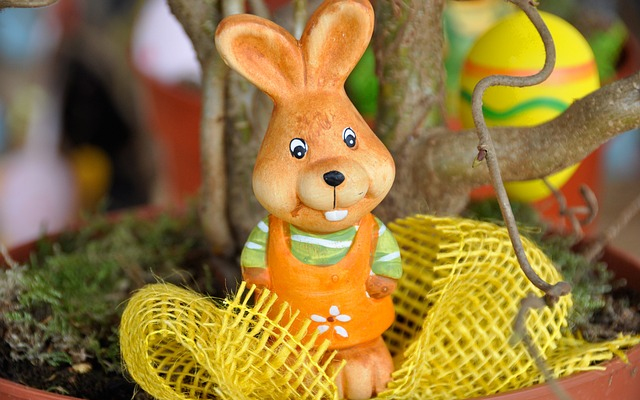 Nyuszifészek csokigyűjtés Csapodon