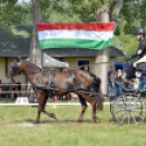 Árpási Fogathajtó Verseny