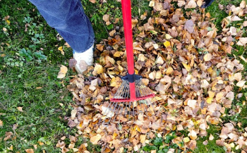 Szombaton segítő kezeket várnak Bősárkányban a Kissárga szabadidőtóhoz