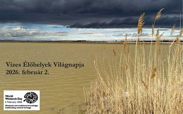 Vizes élőhelyek világnapja