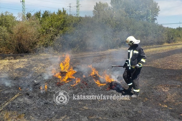 Az idén eddig 190 hektárnyi terület égett le a megyében